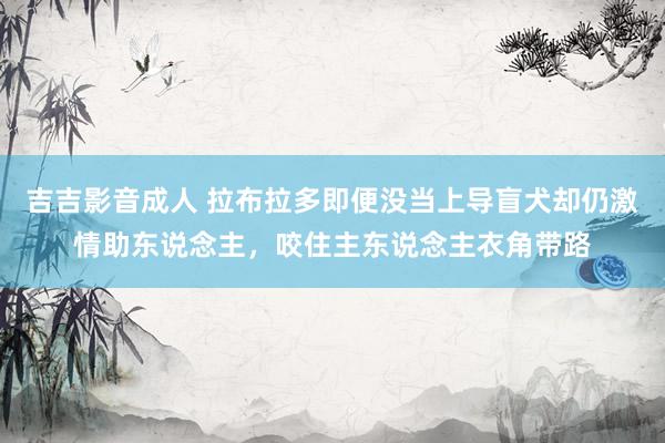 吉吉影音成人 拉布拉多即便没当上导盲犬却仍激情助东说念主，咬