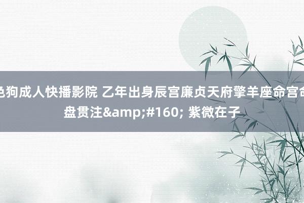 色狗成人快播影院 乙年出身辰宫廉贞天府擎羊座命宫命盘贯注&a