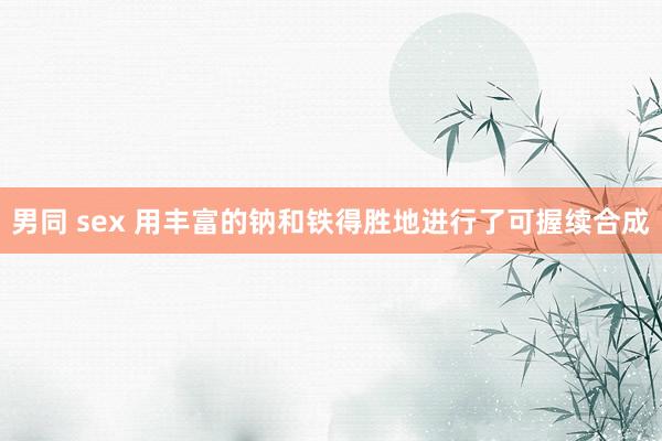 男同 sex 用丰富的钠和铁得胜地进行了可握续合成