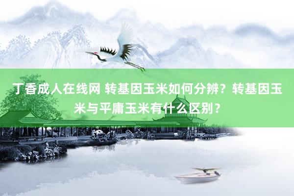 丁香成人在线网 转基因玉米如何分辨？转基因玉米与平庸玉米有什